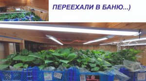 1 ЛЕТНИЕ ПЕРЕЕХАЛИ В БАНЮ) ) 19 февраля 25г