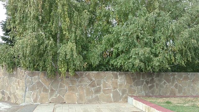 Память