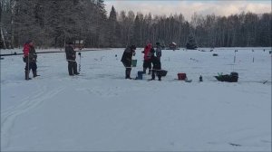 Помимо раттлинов и блёсен форель сегодня ловится на активную резину. Клёвое место, Лосиный остров.