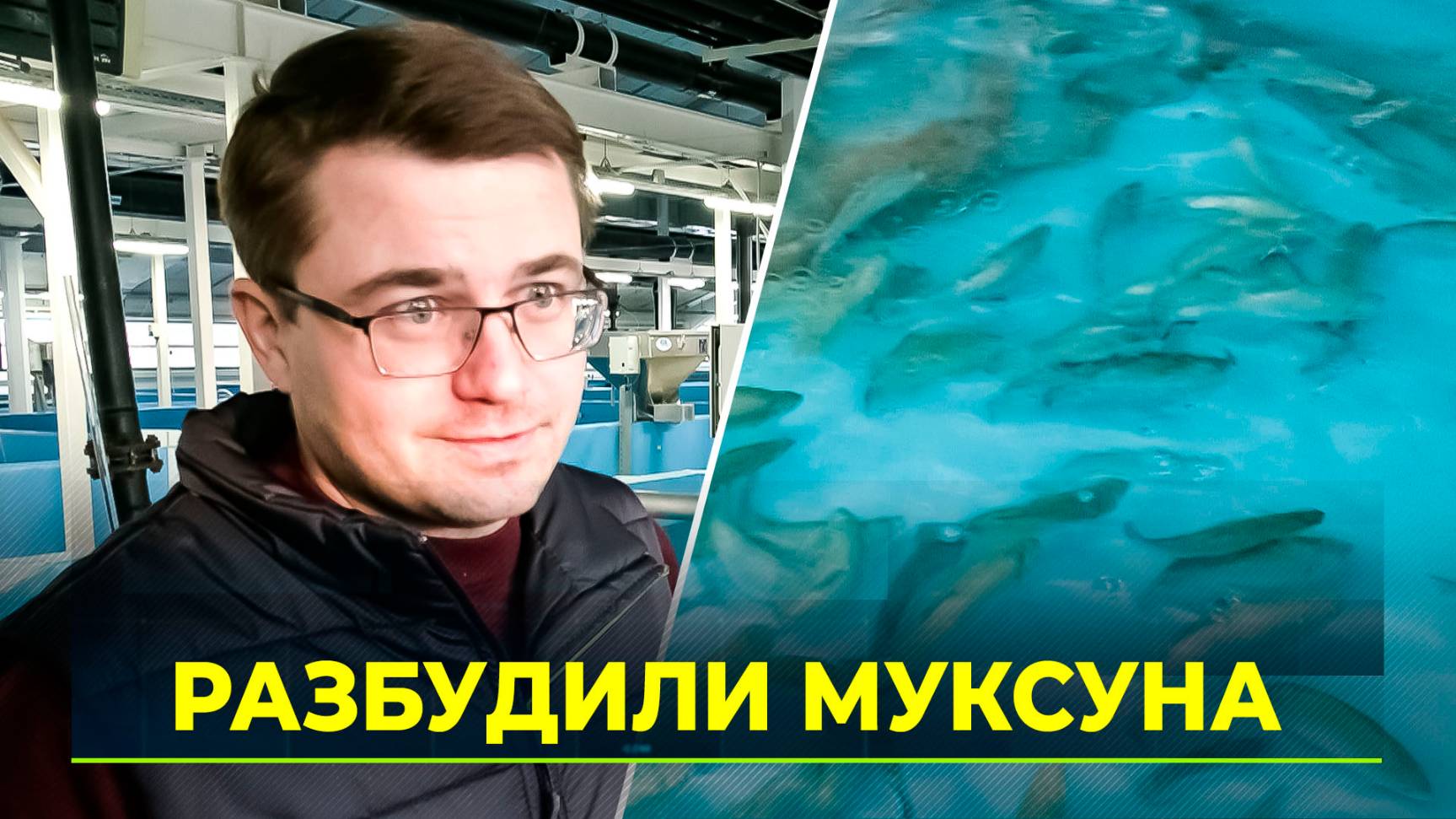 Зимовка муксуна прошла успешно