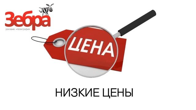 Зебра смотреть онлайн