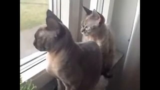 Утро. Понедельник. смотреть онлайн