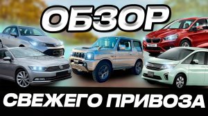 ЧТО СЕЙЧАС ВЕЗЁМ ИЗ ЯПОНИИ❗️СВЕЖИЙ ПРИВОЗ🔥JIMNY / BMW 2-SERIES / STEPWGN / VOLKSWAGEN PASSAT /AXIO