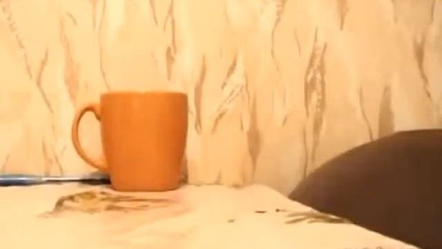 СУПЕР СМЕШНОЕ ВИДЕО О ЖИВОТНЫХ 2013
