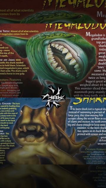 Megalodon vs horn shark edit смотреть онлайн