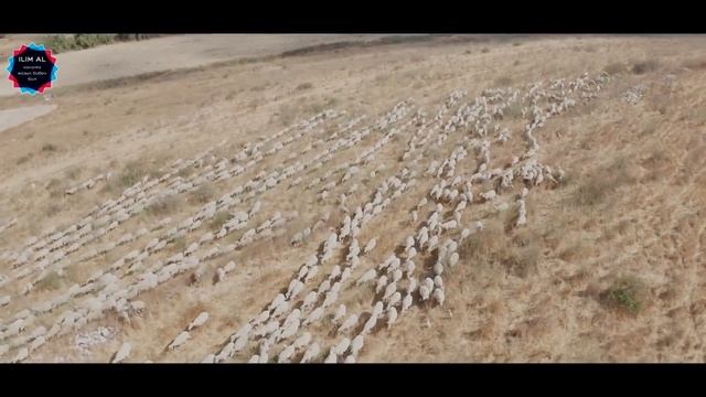 АЛЛА ҮШІН ЕҢ СҮЙІКТІ СӨЗДЕР | Жаңа уағыз 2022 | уағыздар | қазақша уағыз | уагыздар 2022