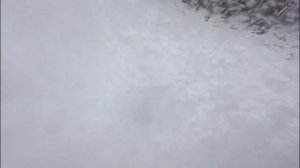 Обзор на лыжи купленные на Ozon