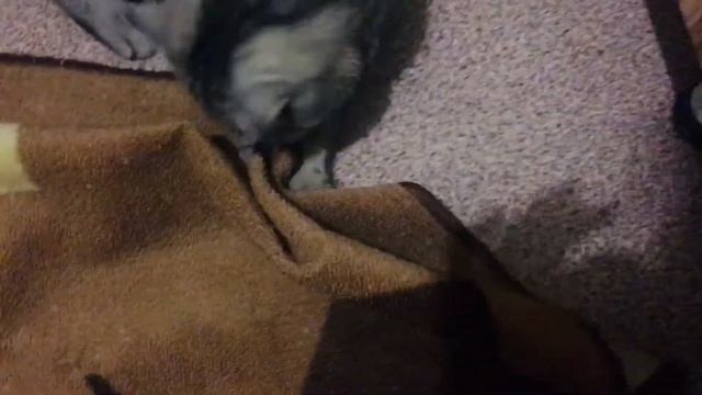 Мы любим маслину смотреть онлайн