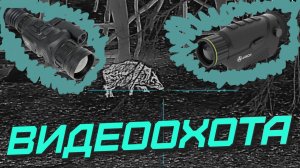 Видеоохота