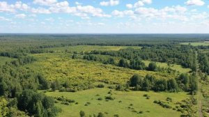 Бакчар и жимолость: Уникальная история