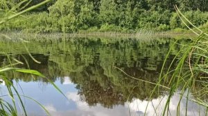 Нейросеть поет Федора Сологуба, пейзажи деревня Бурдуково