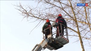 В Кирове проводят санитарную обрезку деревьев на улицах