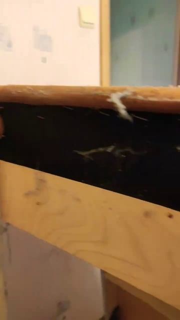 Не когда сами не пытайтесь вывести клопов, они только разбегаться по всей квартире! смотреть онлайн