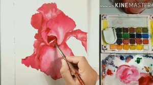 Watercolor painting tutorial video of a pink iris flower/easy video PART 2