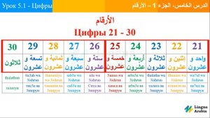 Блок 5 - Урок 1 - Цифры На Арабском Языке - ararus.ru