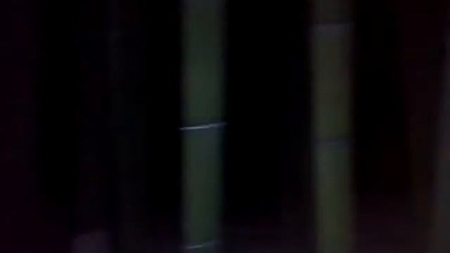 В темном лесу 🍄 смотреть онлайн