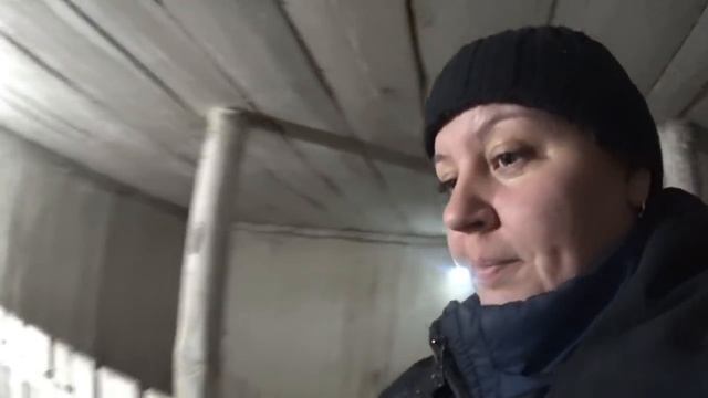 Хлопоты по хозяйству//Деревенская жизнь// Сюжеты от Марии смотреть онлайн