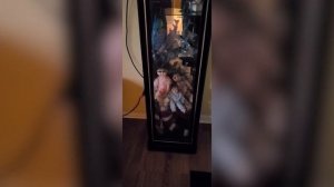 ТОП 5 НЕОБЪЯСНИМЫХ И МИСТИЧЕСКИХ ВИДЕО СНЯТЫХ НА КАМЕРУ. Часть 2.