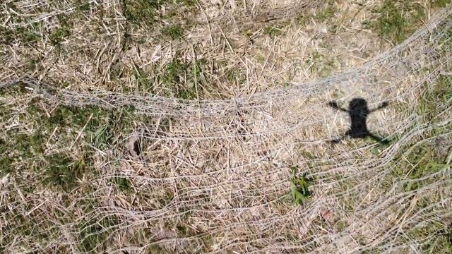 Полёты дрона в Канаде смотреть онлайн