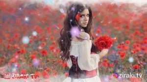 БЕХТАРИН СУРУДИ ТОЧИКИ | Гулро Чида Чида Мерави Ту