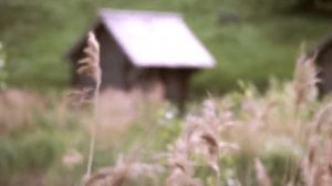 Бестиарий Амбарник