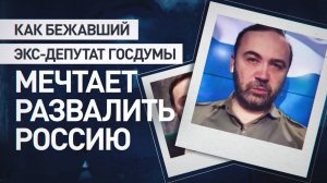 При поддержке Запада и неонацистов: как экс-депутат Пономарёв планирует свергнуть власть в России