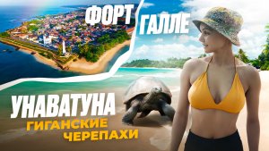 УНАВАТУНА: 
ГИГАНСКИЕ ЧЕРЕПАХИ, форт Галле