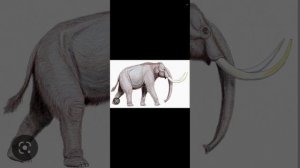 Columbian Mammoth Sound effects (for Alan Nguyen