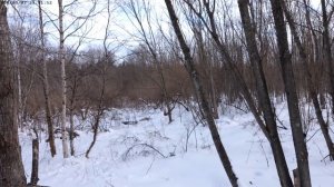 Не сбывшаяся мечта сахалинцев.2