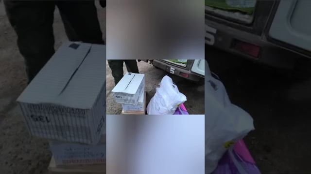 ВЕСТОЧКА ОТ НАШИХ АЛТАЙЦЕВ!!! АРТИСТА.mp4