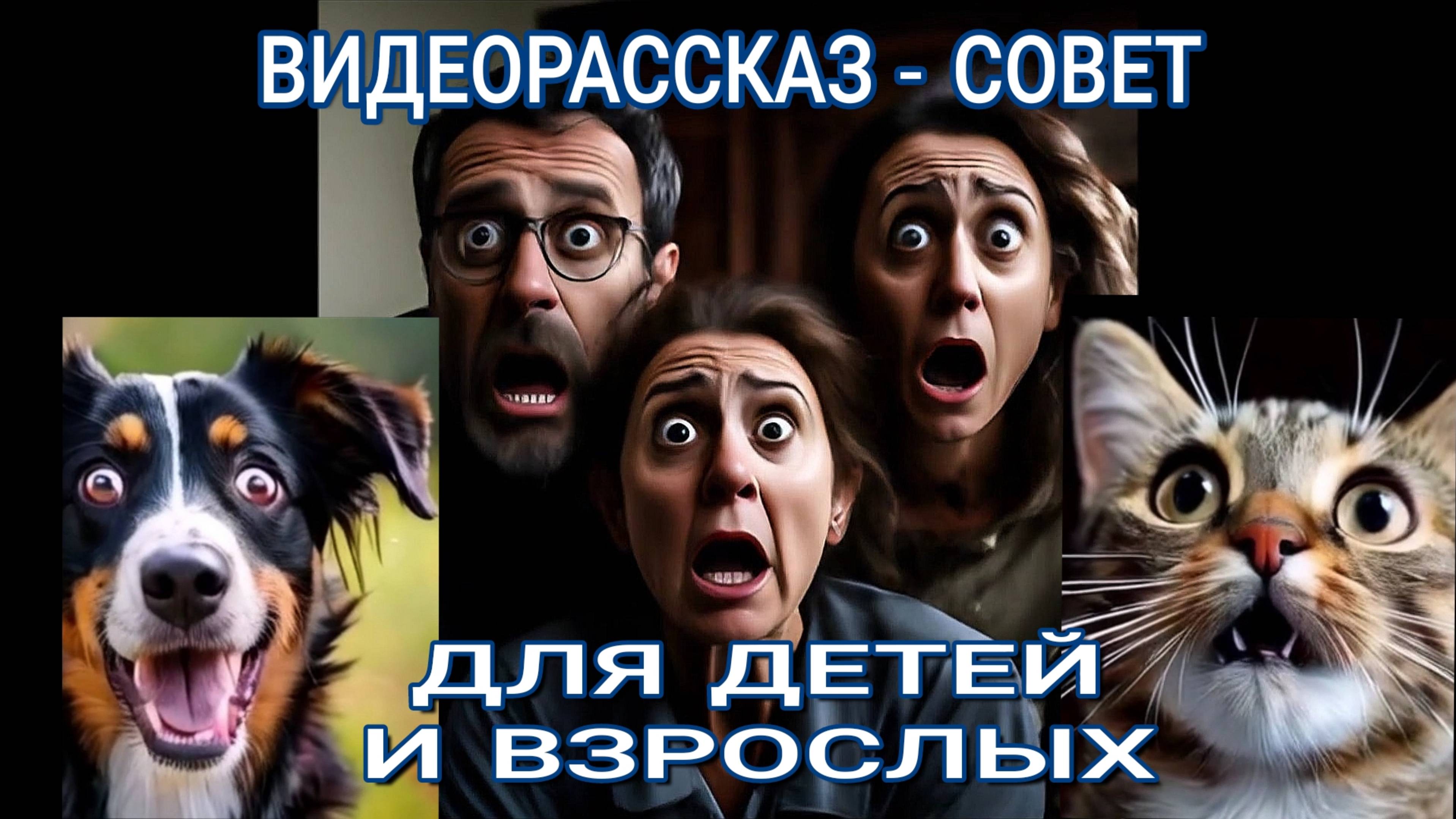 Виноват домовой. Прикольный рассказ и где-то добрый совет для взрослых и детей. Видео и аудио.
