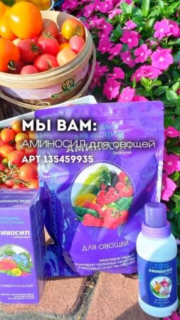 Друзья, любой дачник мечтает получить богатый и насыщенный витаминами урожай 🔥