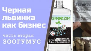 Чёрная львинка как бизнес. Часть вторая. Зоогумус как удобрение.