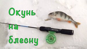 РЫБАЛКА на БЛЕСНУ в центре города.