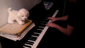 Kiss the Rain (Piano Cover)