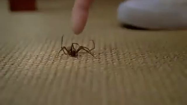 Zajebista reklama MENTOS xD смотреть онлайн