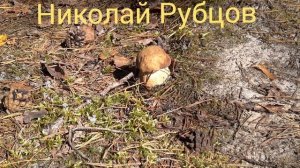 ,,Добрый Филя" Николай Рубцов Читает Кирпиченкова Людмила