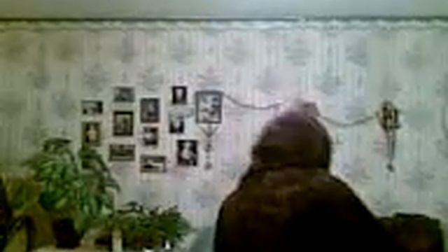 Сумашедший макак.3gp смотреть онлайн