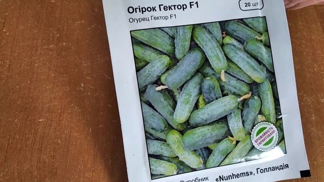 Огірки на другий круг посіву.#мизукраїни #моєгосподарство . смотреть онлайн