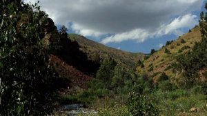 Ущелье Катта-сай. Узбекистан. Фильм Каменского А.В.