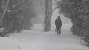 Плач адама . Великий пост