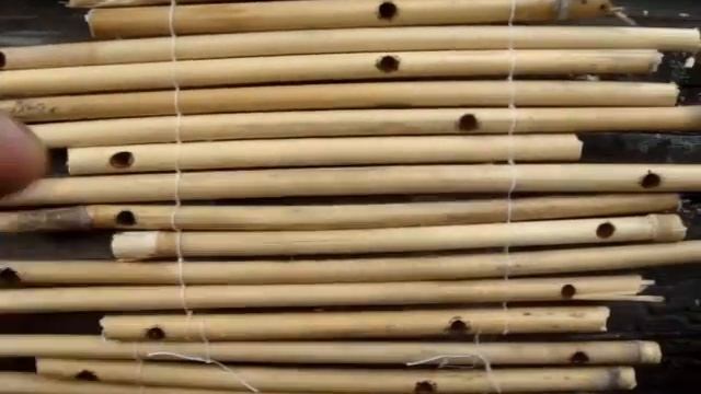 Вид домиков для пчел-осмий на 11 июня 2017 года смотреть онлайн