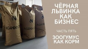 Чёрная львинка как бизнес. Часть пять. Зоогумус как корм.