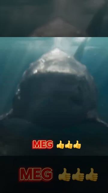Bad Shark Movies🤢 VS Good Shark Movies 🗿#shark#jaws#shorts#themeg смотреть онлайн