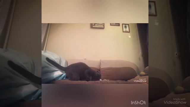 Плюсы и минусы смотреть онлайн