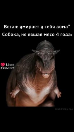жиза