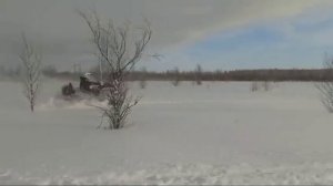 Снегоход