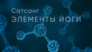 Сатсанг "Элементы Йоги" - 09.02.2025 #Самоотдача #Любовь #Интегральнаяйога