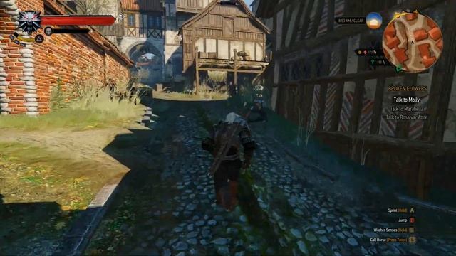 The Witcher 3 PC Walkthrough 36 - Rosemary and Thyme смотреть онлайн