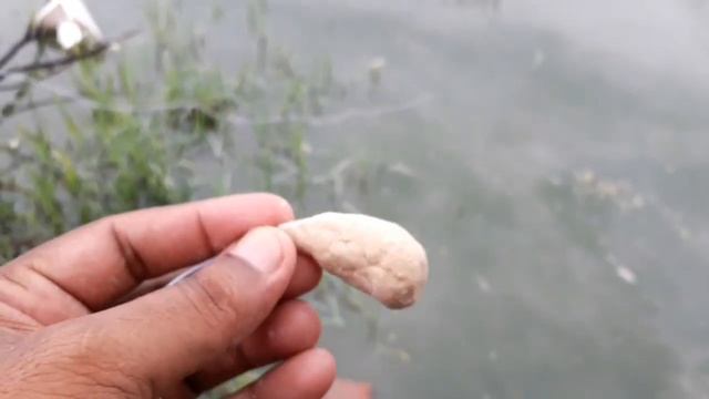 Hook se Machli pakdne ka Trika हुक से मछली पकड़ने का तरीका смотреть онлайн